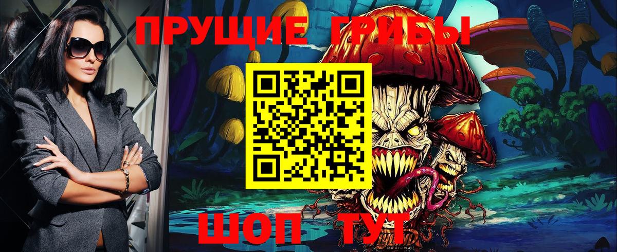 Тайшет  Галлюциногенные грибы мицелий  Вход с VPN  Галлюциногенные грибы Cubensis 