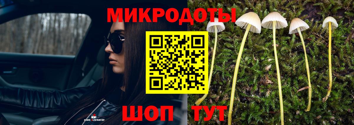 Псилоцибиновые грибы прущие грибы Тайшет